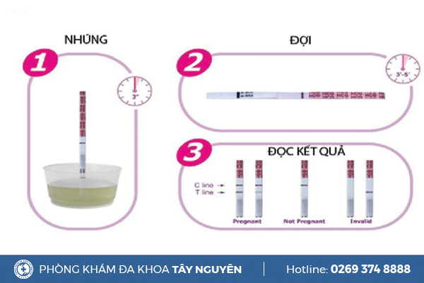 Cách sử dụng que thử thai như thế nào? Hướng dẫn cách đọc kết quả chính xác